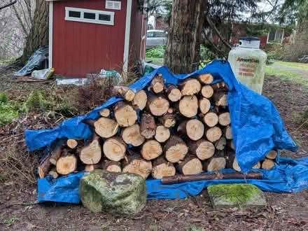 Photo of free Firewood (Maury ~Pt. Robinson Lighthouse) #1