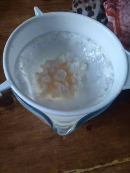 Photo of free Fresh milk kefir grains (Newtown RG1) #2