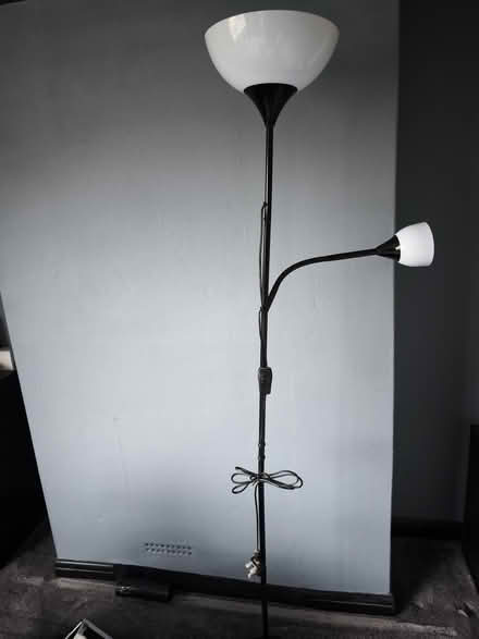 Photo of free Lamp (Kemsing) #1