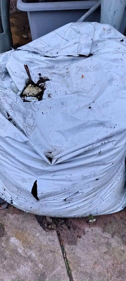 Photo of free ericaceous Soil (Slough SL1) #1