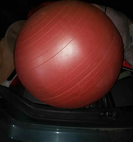 Photo of free Exercise ball (St.Louis Park) #1