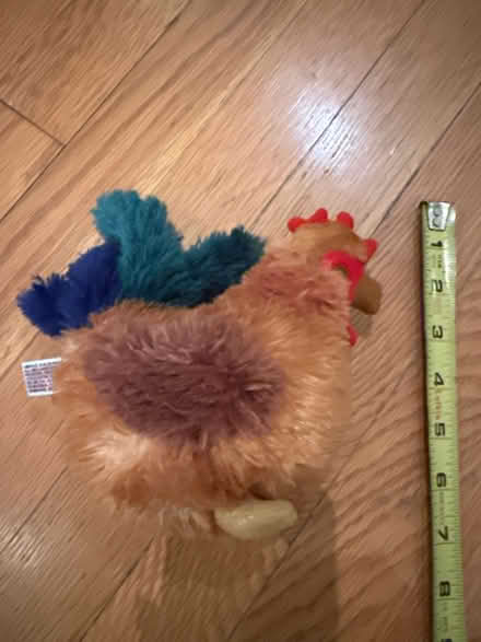 Photo of free Chicken Stuffed Animal (Piedmont) #1