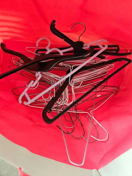 Photo of free clothes hangers (Nn54wu) #1
