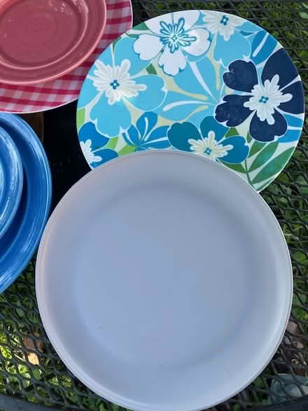 Photo of free dinner plates porcelain & plastic (south sunnyvale) #4