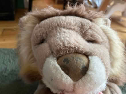 Photo of free Lion soft toy (Brentford) #1