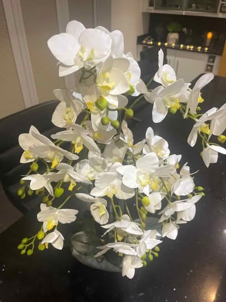 Photo of free Large faux Orchid display (Newburgh WN8) #2