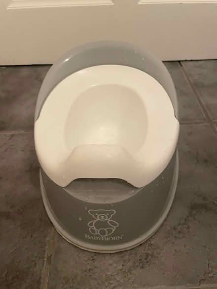 Photo of free Potty (Ealing W13) #1