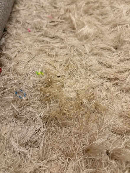 Photo of free Tatty rug (Staines TW18) #2