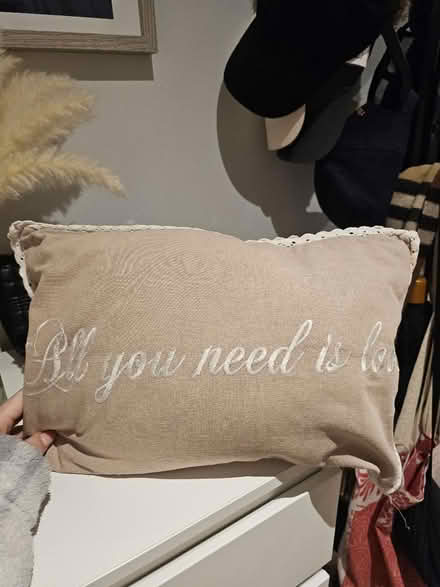 Photo of free Small cushion (Oval Quarter SW9) #1