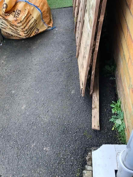 Photo of free Fence panel (Tuffley Gloucester) #3