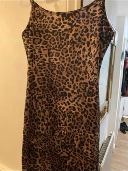 Photo of free Animal print dress 👗 (Cheshunt En8) #2
