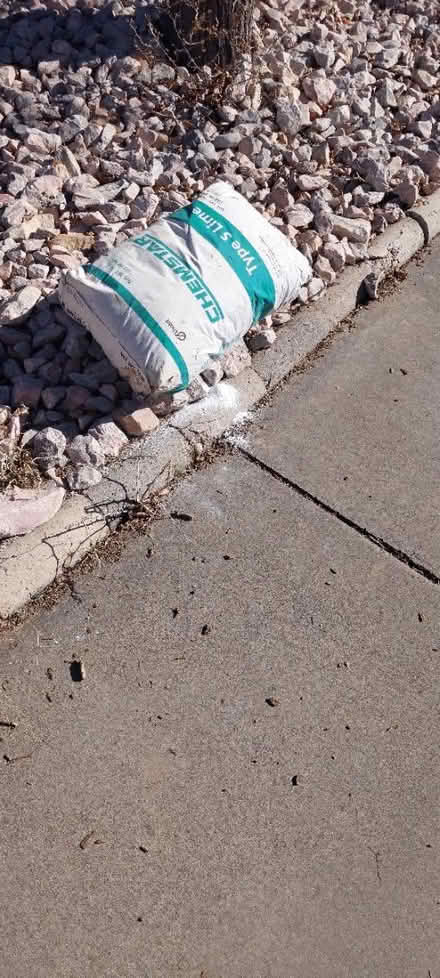 Photo of free Type s lime (North campus) #1