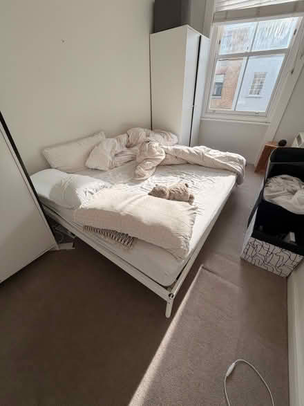 Photo of free Bedframe (Marylebone W1H) #1