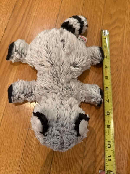 Photo of free Raccoon Stuffed Animal (Piedmont) #2