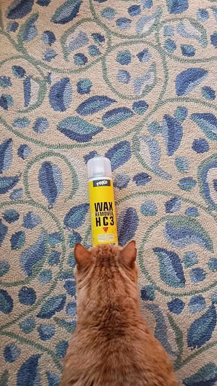 Photo of free Ski wax remover (Somerville, off Cedar St) #1