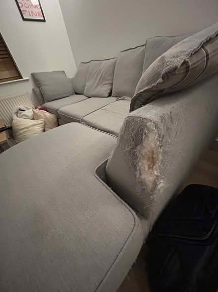 Photo of free Sofa (Witham) #3