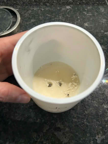 Photo of free Used candle in glass jar (Blackheath SE3 7DH) #2