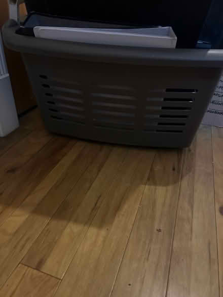 Photo of free Washing bucket with handles (Brentwood CM15) #1