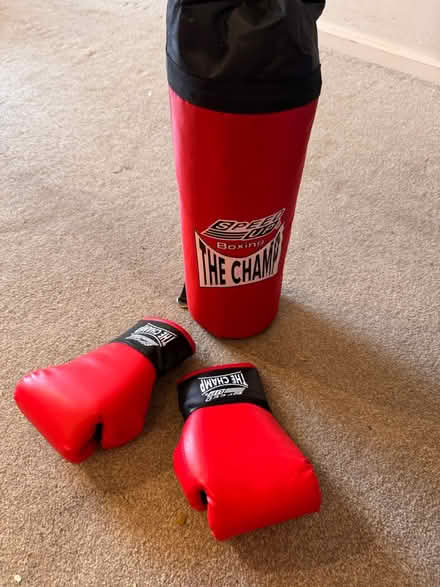 Photo of free Speed Up The Champ boxing bag (Hemel Hempstead HP2) #2