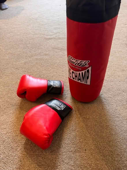Photo of free Speed Up The Champ boxing bag (Hemel Hempstead HP2) #1