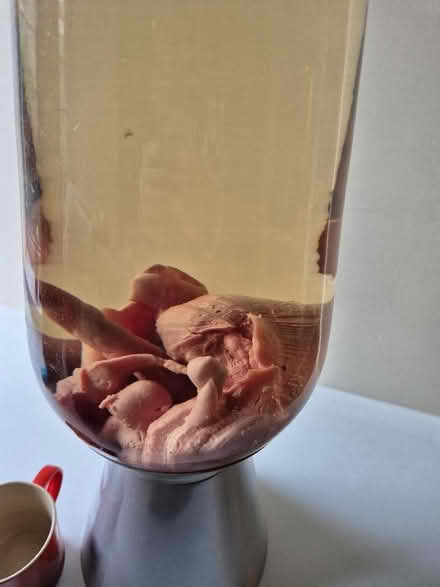 Photo of free Giant pink purple larva lamp (Shap CA10) #4