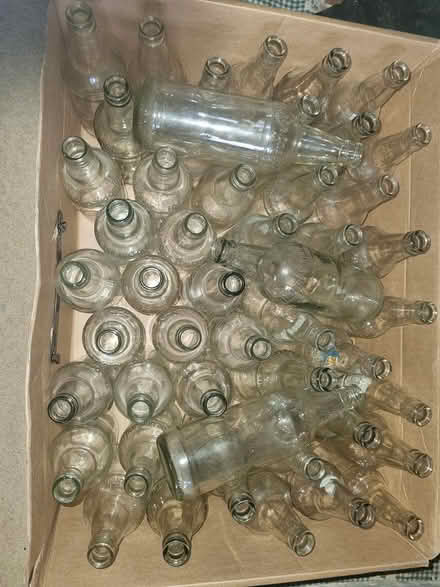 Photo of free 70 Clear Glass 1 pint Beer Bottles (HR6 area) #1