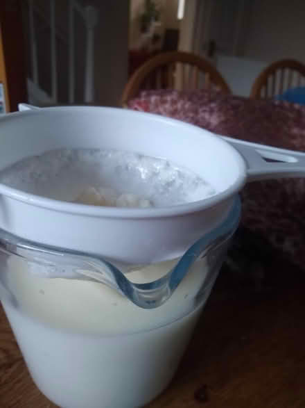 Photo of free Fresh milk kefir grains (Newtown RG1) #3