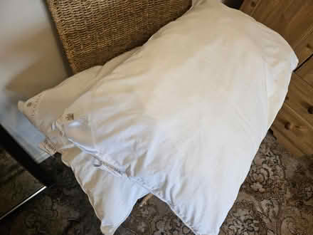 Photo of free 2 Dorma Feather Pillows (Northfield B31) #1