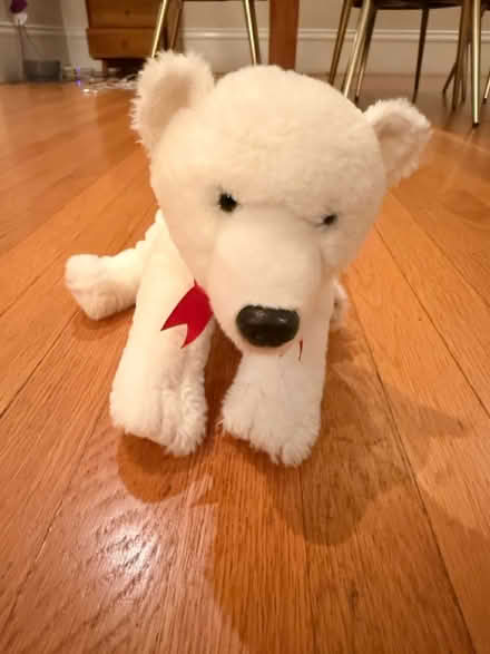 Photo of free Polar Bear Stuffed Animal (Piedmont) #1