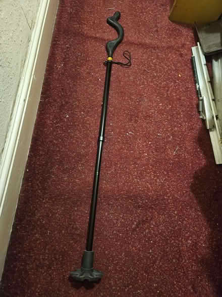 Photo of free Walking cane (Loughborough LE11) #1