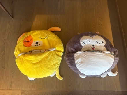 Photo of free 2 children sleeping bags (SW11) #2