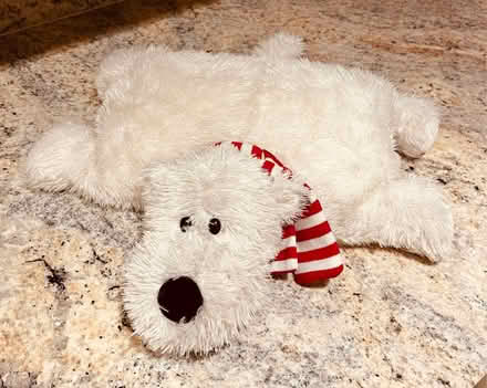 Photo of free Jellycat polar bear (Myton Park CV32) #1