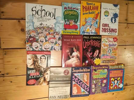 Photo of free Childrens books (Keynsham Memorial Park BS31) #1