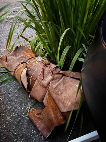 Photo of free Multiple items (Carleton st. Berkeley) #4