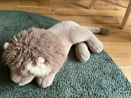 Photo of free Lion soft toy (Brentford) #2