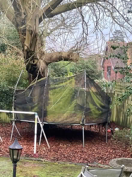 Photo of free Used outdoor trampoline (Borehamwood) #1