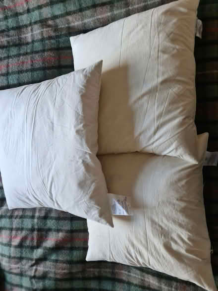 Photo of free Feather Cushions (Thames Ditton KT7) #1