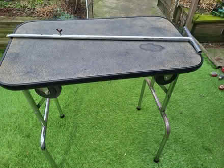 Photo of free Dog grooming table (L36) #4