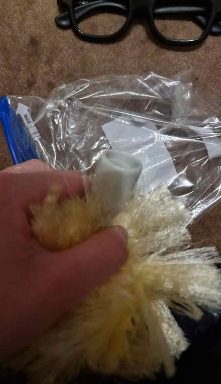 Photo of free Duster head (South hampstead NW8) #2