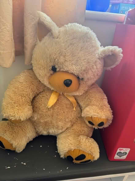 Photo of free Assorted plush toys & teddy (Hemel Hempstead HP2) #1