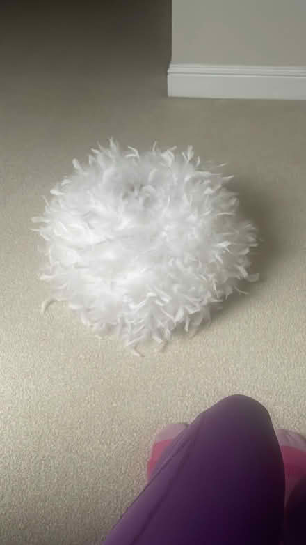 Photo of free Lamp shade and light shade (Perrystown) #2