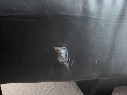 Photo of free Sofa bed (BN23) #3