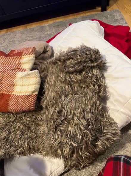 Photo of free Throws, blankets cushions mattress protector etc (Chiswick W4) #2