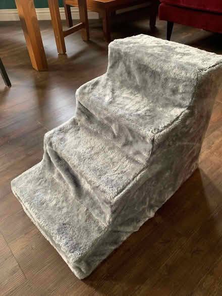 Photo of free Small staircase for old pets (St Annes BS4) #1