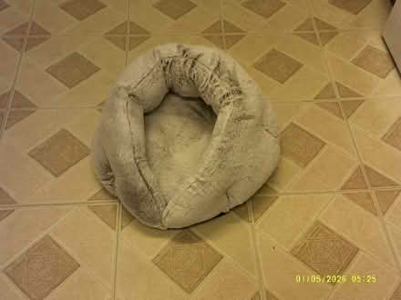 Photo of free Cat bed (Cotton Tree BB8) #1