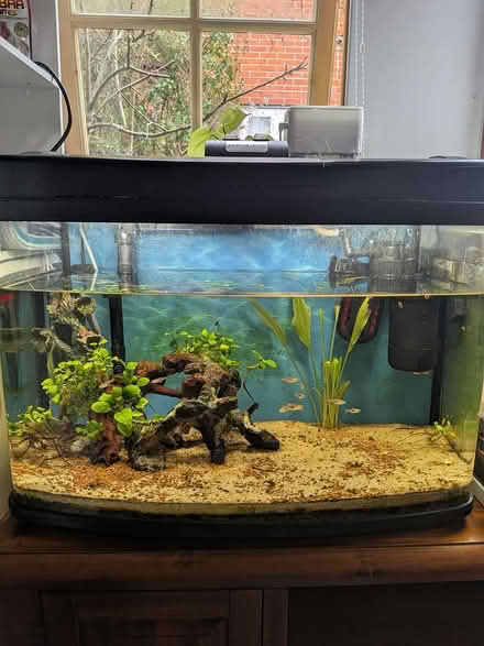 Photo of free 60L Aquarium (RG2) #1