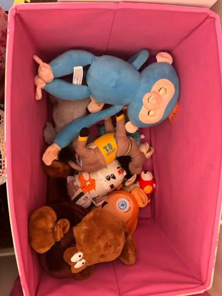Photo of free Assorted plush toys & teddy (Hemel Hempstead HP2) #2