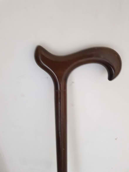 Photo of free Umbrella & walking stick (Kendal LA9) #3