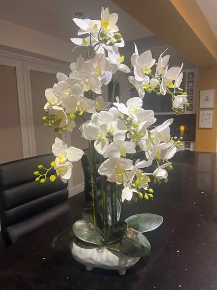Photo of free Large faux Orchid display (Newburgh WN8) #1