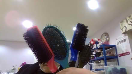 Photo of free Hair Brushes (NW11 9AF) #1